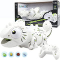 Funny chameleon